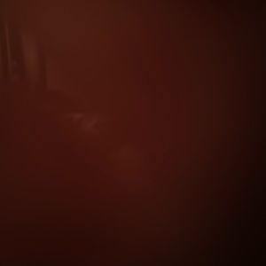 Meet your Posher, Mitzi